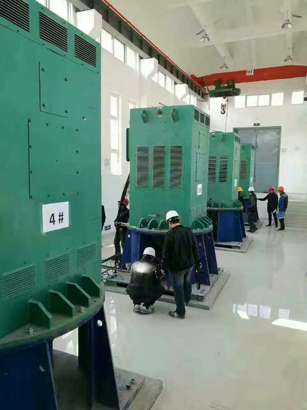 Y5004-6某污水处理厂使用我厂的立式高压电机安装现场