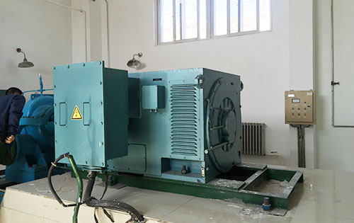 Y5004-6某水电站工程主水泵使用我公司高压电机