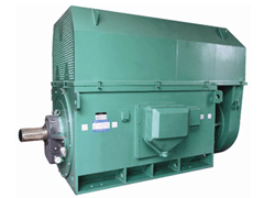 Y5004-6Y系列6KV高压电机