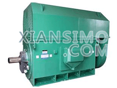 Y5004-6YXKK(2极)高效高压电机技术参数