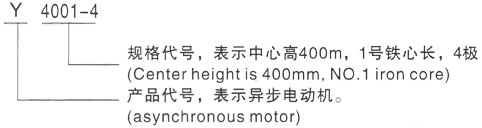 西安泰富西玛Y系列(H355-1000)高压Y5004-6三相异步电机型号说明