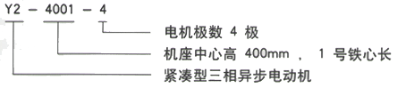 YR系列(H355-1000)高压Y5004-6三相异步电机西安西玛电机型号说明